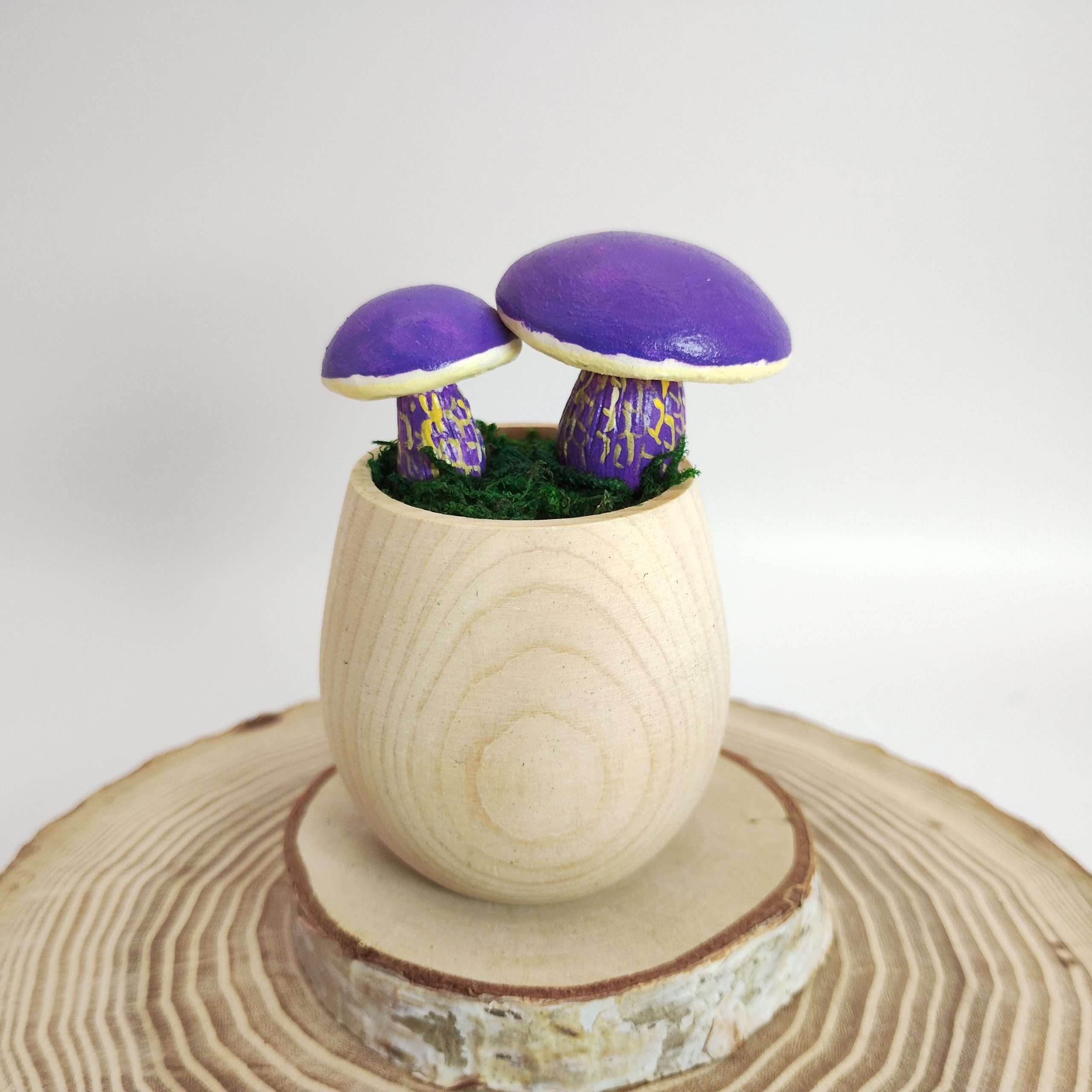 ムラサキヤマドリタケ