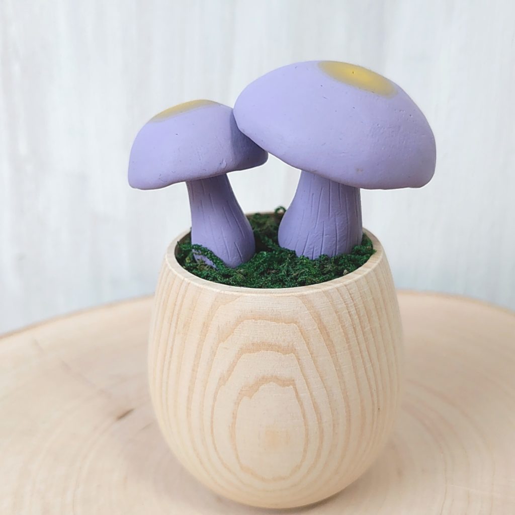 ムラサキシメジ